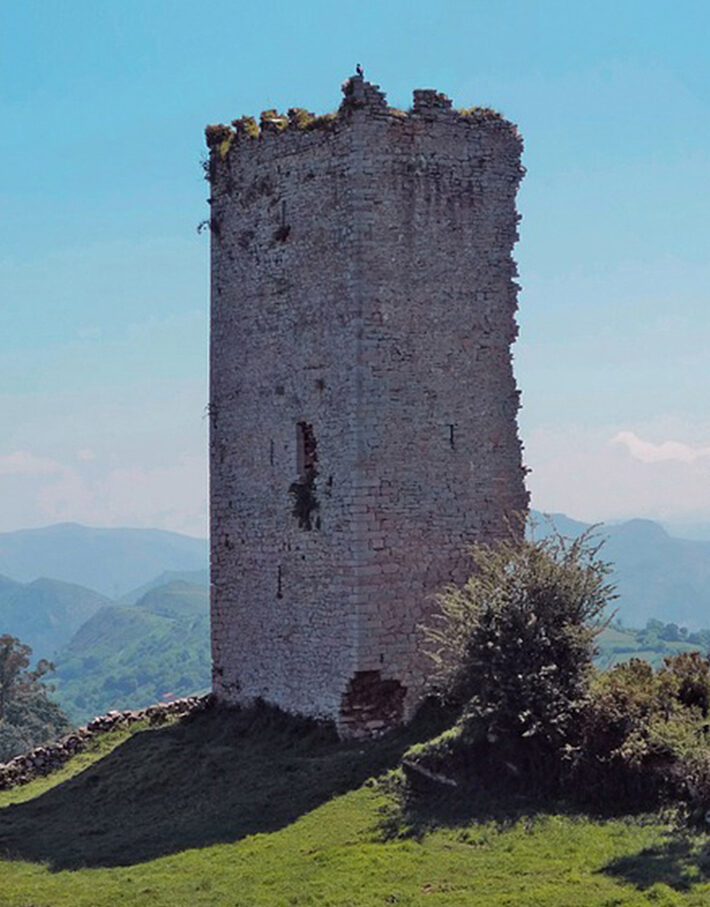 torreon-penerudes-710x920